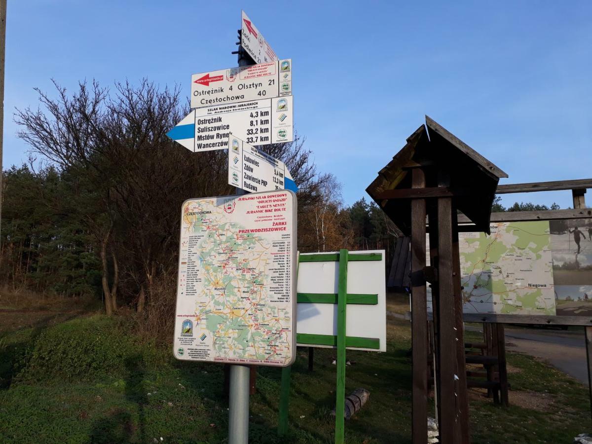 Villa Jura Pokoje Goscinne Zarki Kültér fotó