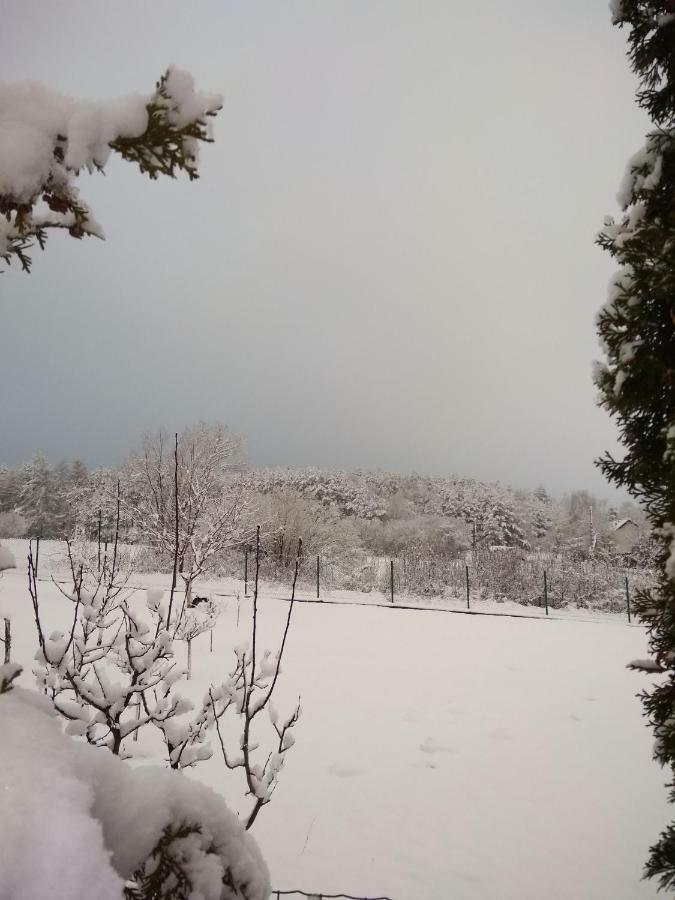 Villa Jura Pokoje Goscinne Zarki Kültér fotó